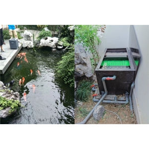 魚池過濾系統(tǒng)
